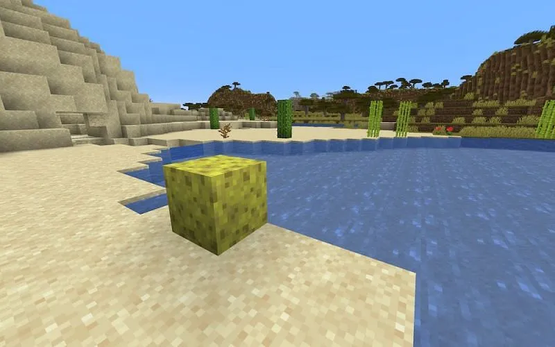 Sponge in Minecraft