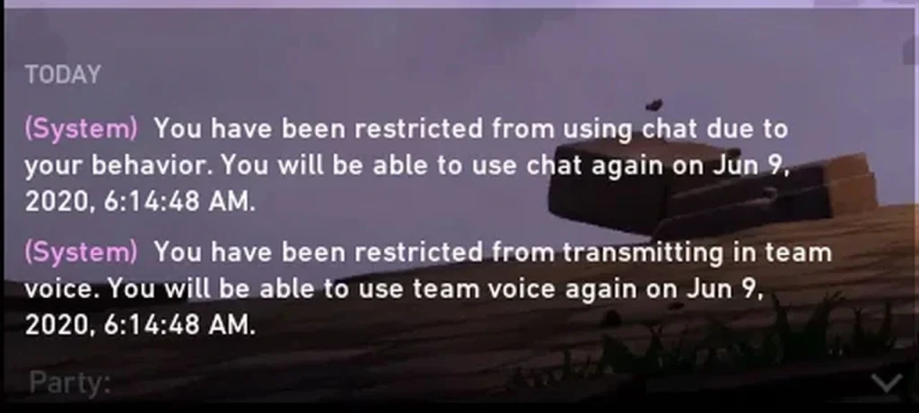 Valorant Voice Chat Ban