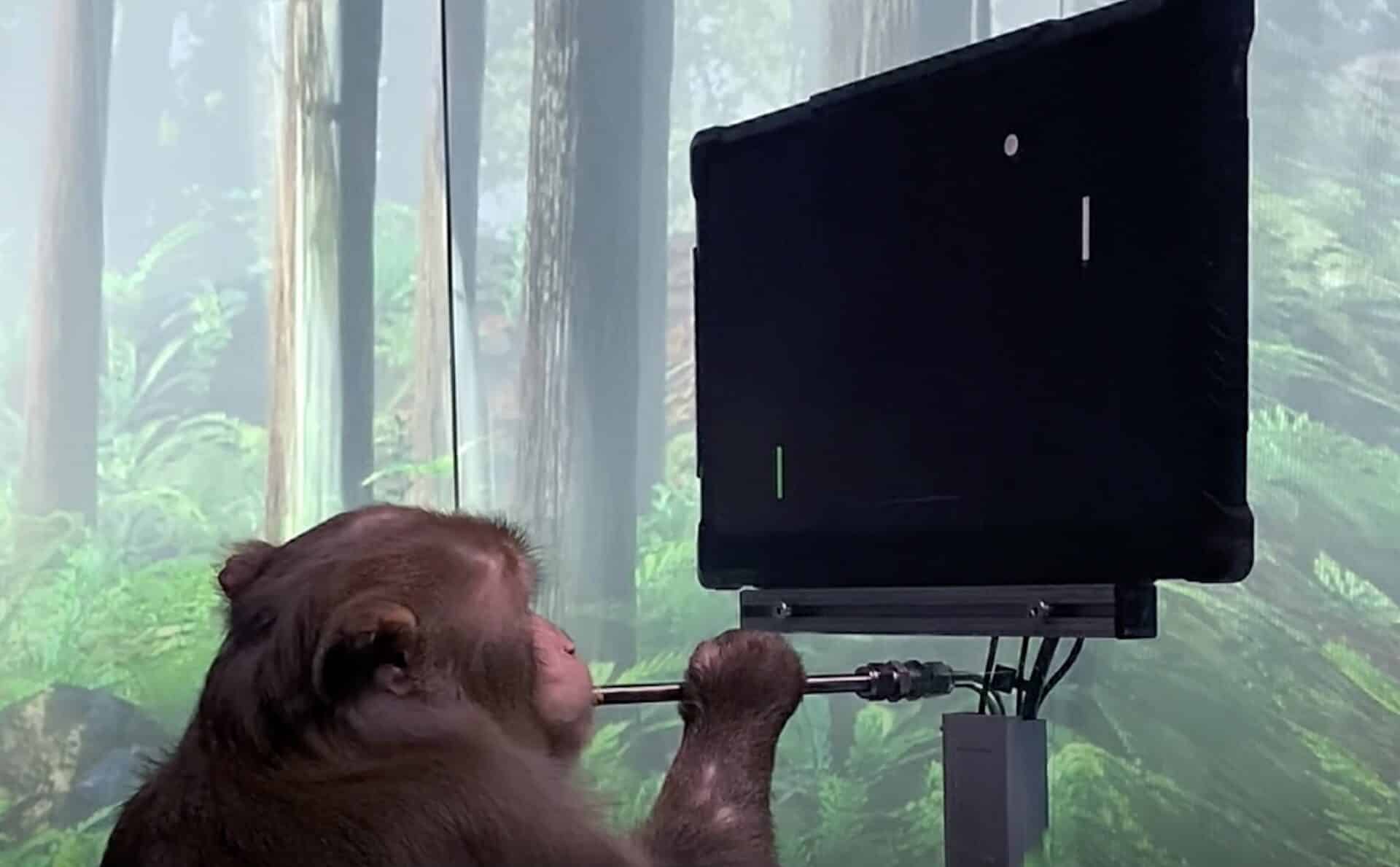 Elon Musk’s Neuralink lets a Monkey play video game using its thoughts