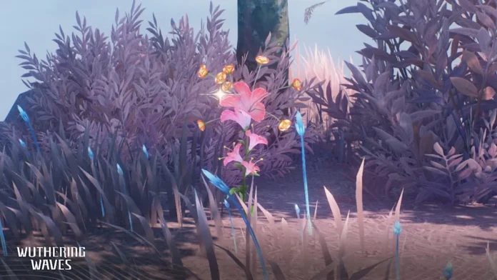 In-game screenshot from Wuthering Waves featuring the mystical Firecracker Jewelweed, a vibrant pink flower glowing among a lush, alien-like landscape of purple and blue foliage, illuminated by floating orange lights, showcasing the game's rich and detailed environment design.